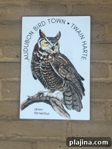 Hand-painted bird sign