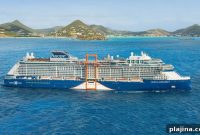 Cruise Lines Improve Accessibility for Guests with Disabilities on Ship Amenities