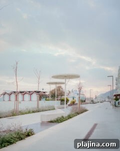 img 179237 1