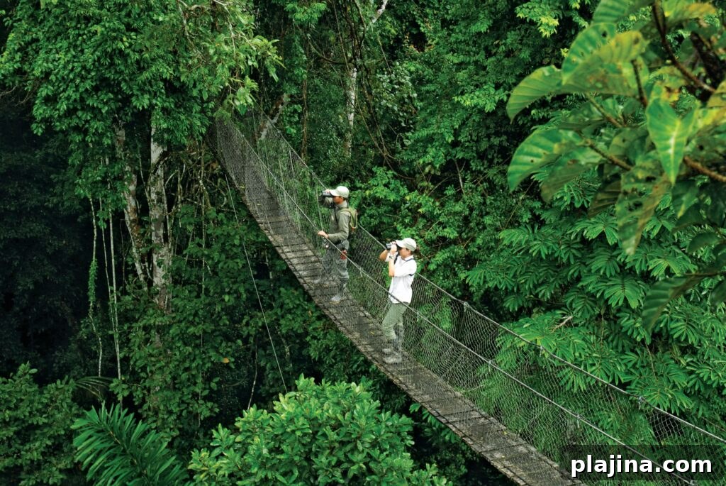 Inkaterra Reserva Amazonica