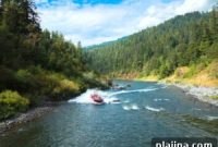Family Escape to Gold Beach: Top Activities and Getaways