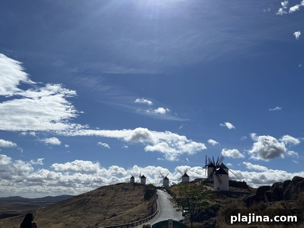 img 182153 1