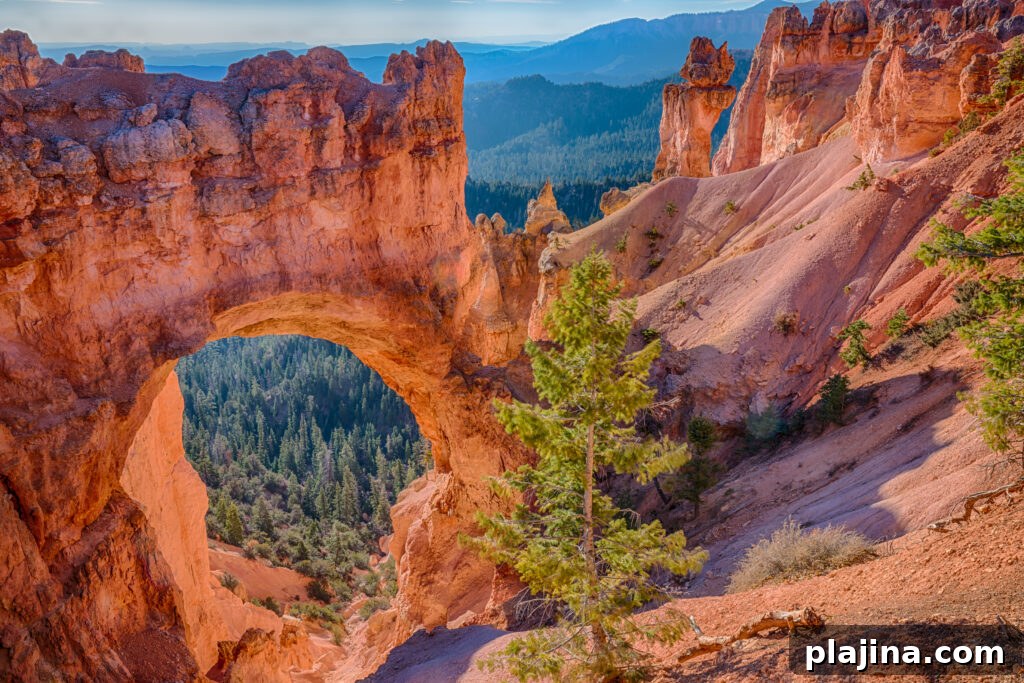 Bryce Canyon