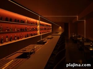 Bar counter and shelving