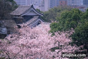 img 184074 1