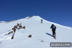 img 184303 4