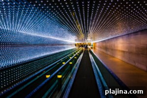 img 184974 1