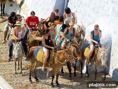 Millennial travelers riding mules to Thíra on Santoríni