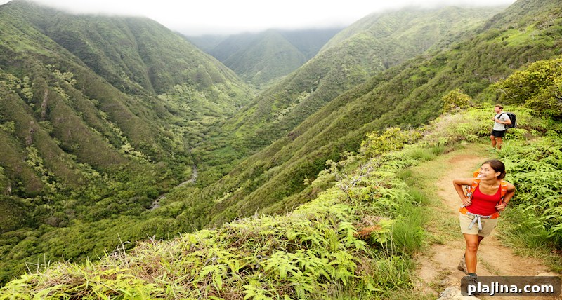 Maui