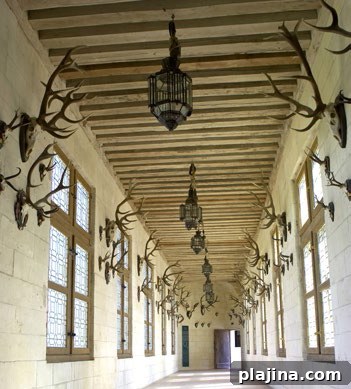 A corridor displaying hunting trophies at Chambord