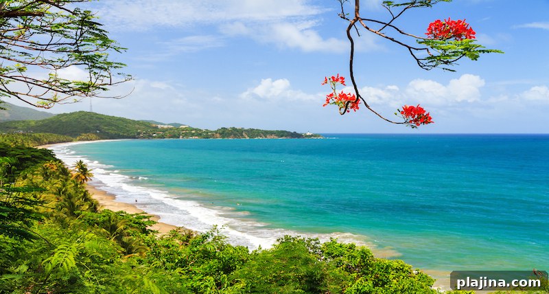 Spring Travel Destinations