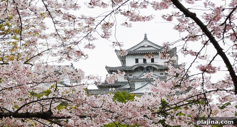 Spring Travel Destinations