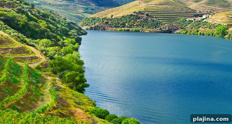 Spring Travel Destinations