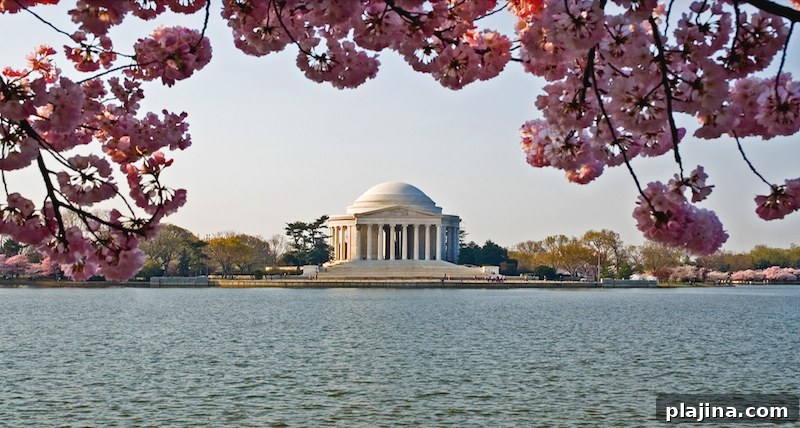 Washington D.C.
