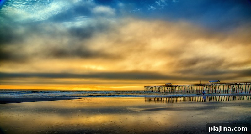 Amelia Island