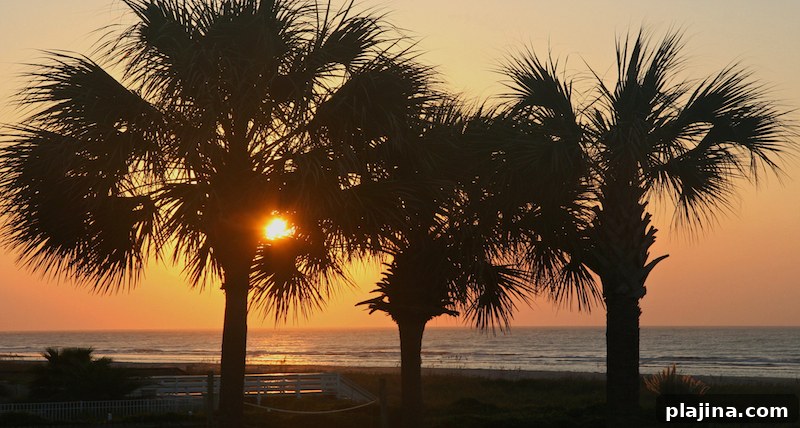 Isle of Palms