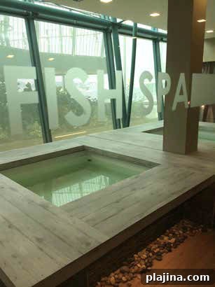 Fish Spa