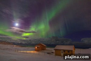 Viking Cruises 