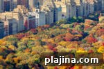 img 79236 10
