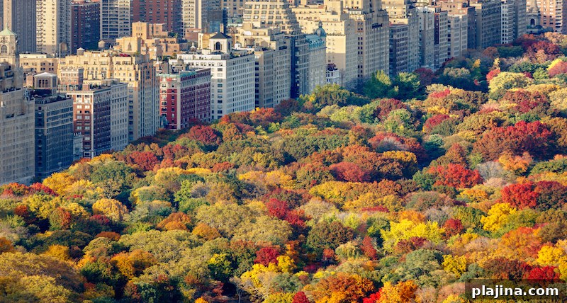 New York City