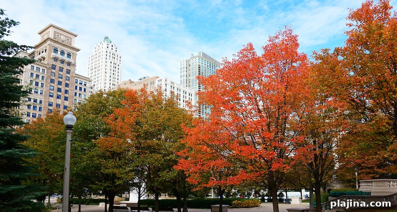 Chicago