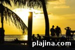 img 79681 16