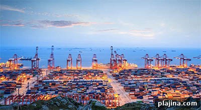 Shanghai container terminal