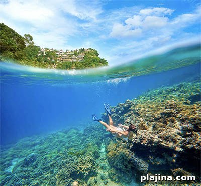Snorkeling along a coral reef off Boracay