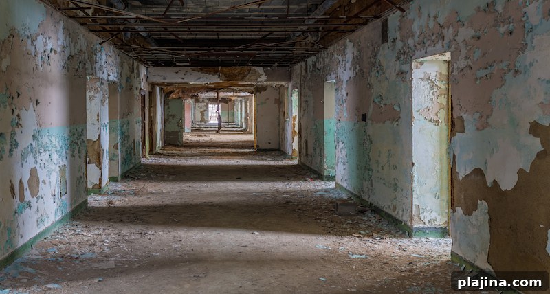 Trans-Allegheny Asylum