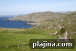 img 80929 13