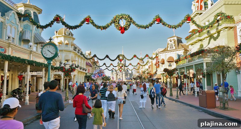 Disney World