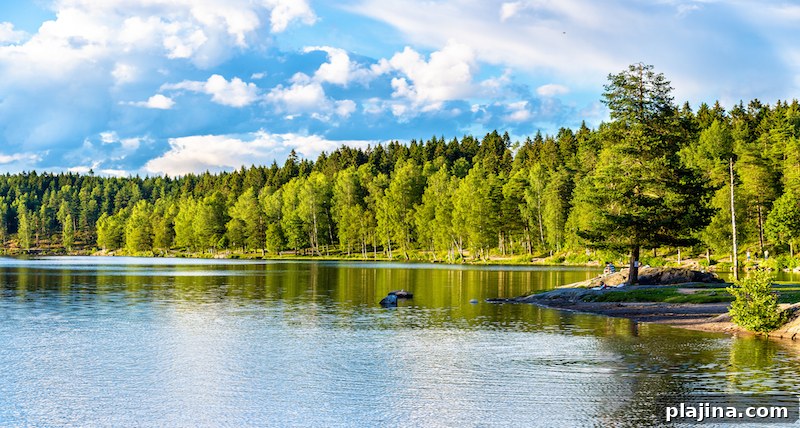 Sognsvann Lake