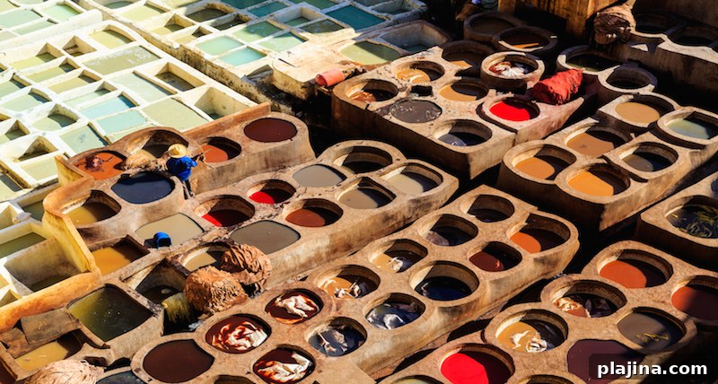 Tanneries