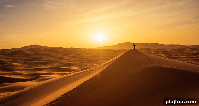 Sahara Desert