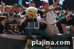 Top U.S. Cities for Football Fans: Where Passion Runs Deep 17 img 82397 16