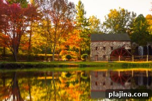 Northeast Fall