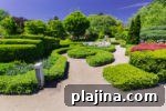 img 82595 11