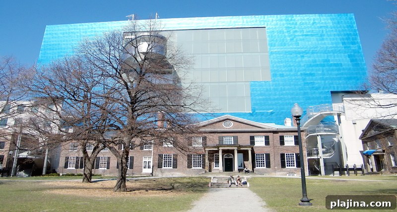 The Art Gallery of Ontario