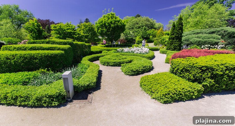 Toronto Botanical Garden