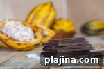 Top Chocolate Lover Destinations: Where to Indulge in Cocoa Delights 17 img 82717 16