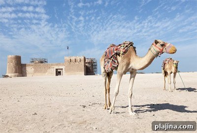 Al Zubarah Fort