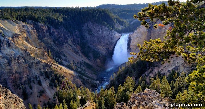 Yellowstone National Park