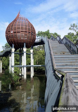 Sungei Buloh Wetland Reserve kingfisher pod
