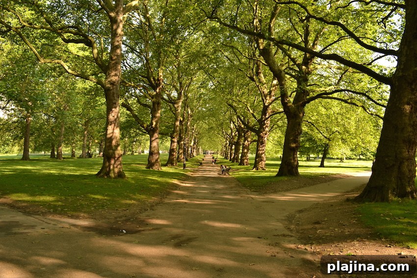 Green Park in London