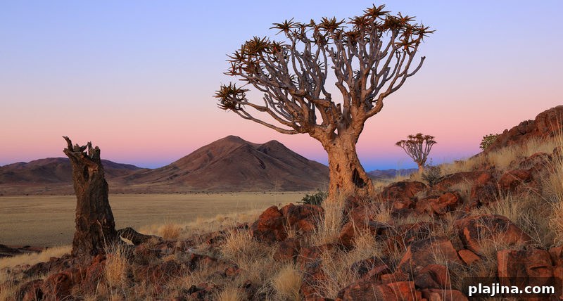 Namibia