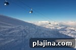 img 84331 11
