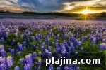 7 U.S. States With the Most Fun Attractions and Activities 11 thumb