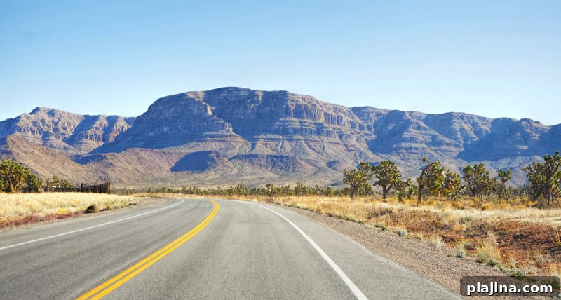 Nevada