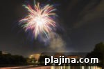 img 86339 10