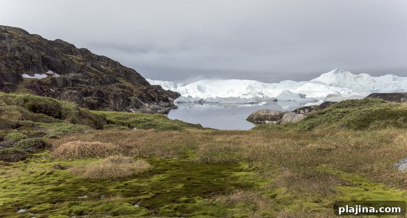 Aasivissuit–Nipisat Inuit